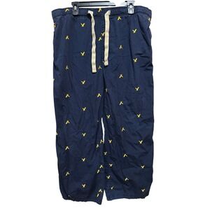 American Eagle Outfitters Mens Dorm Pants Size L Drawstring Blue Yellow Birds
